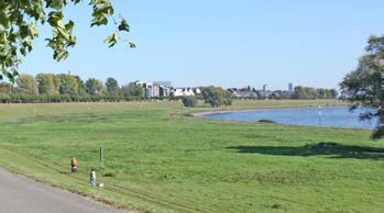Rheinwiesen in der nähe der Heinrich-Heine-Gärten in Düsseldorf-Heerdt